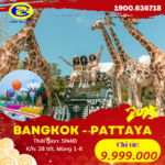 NONGNOOCH – CHIM HẢI ÂU -BANGKOK – PATTAYA