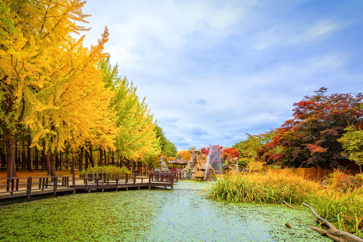 TOP 4 NHÀ THỜ CHƠI NOEL CỰC VUI KHI ĐI TOUR DU LỊCH ĐÀ LẠT THÁNG 12